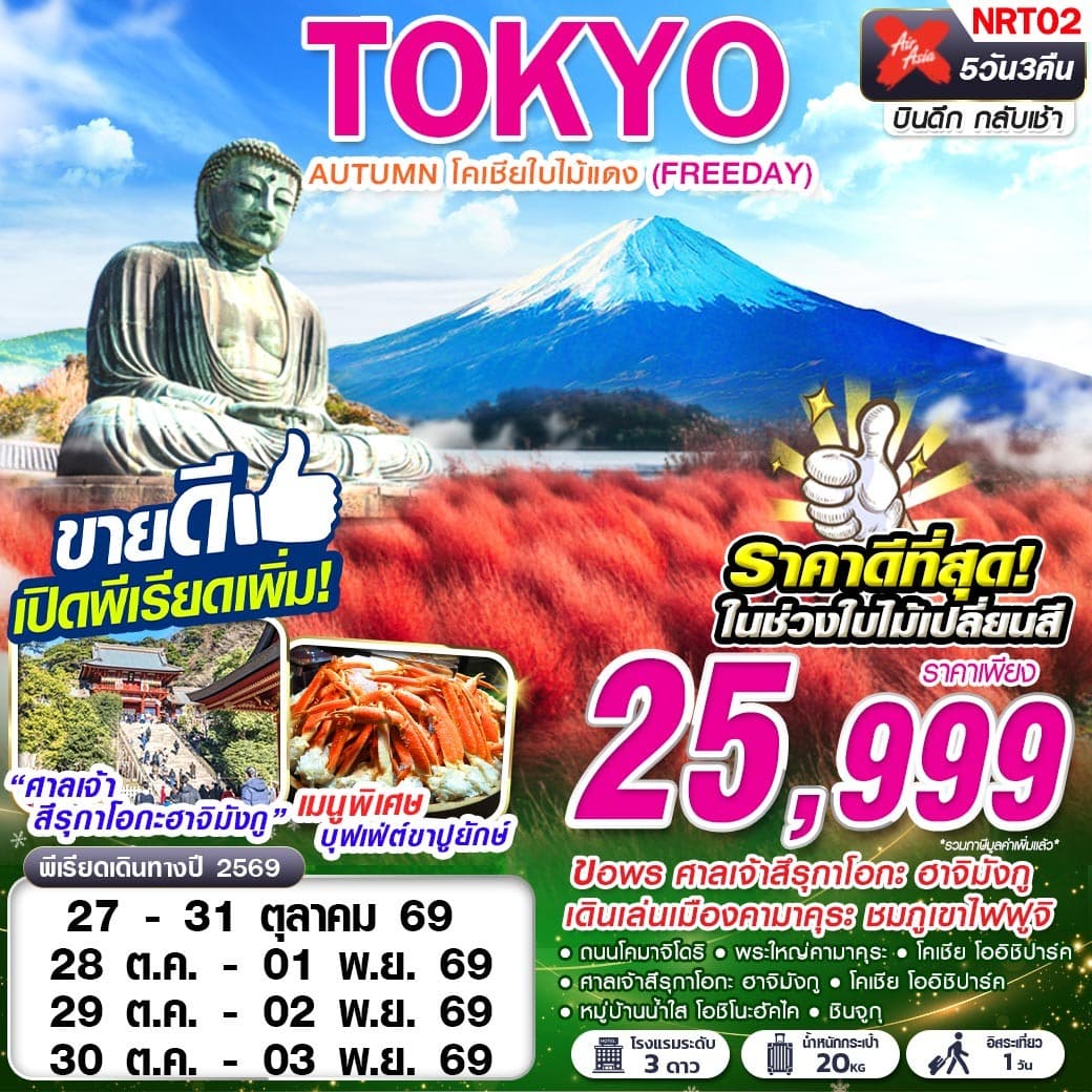 ทัวร์โตเกียว TOKYO AUTUMN โคเชียใบไม้แดง (XJ) 5วัน 3คืน
