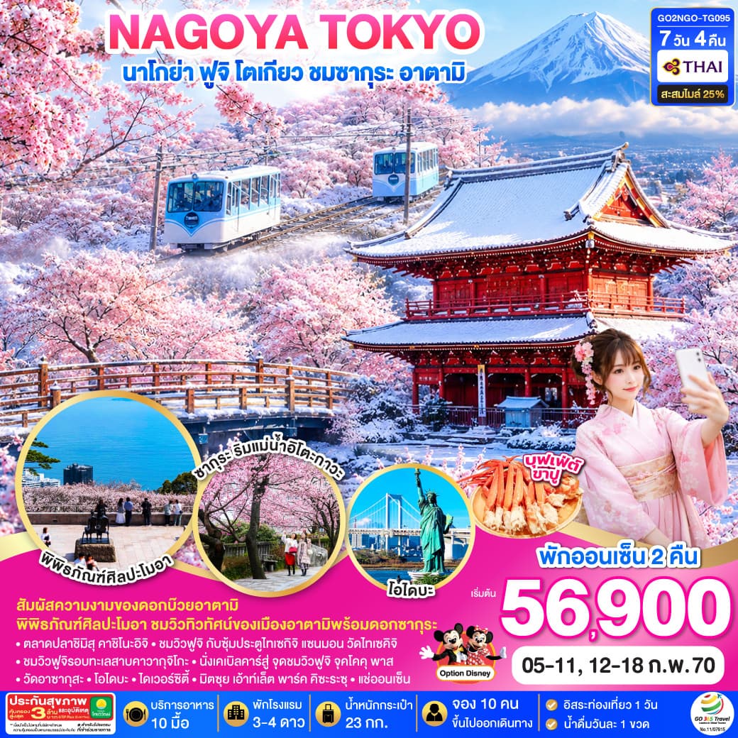 ทัวร์โตเกียว WINTER TOKYO FUJI SAKURA ATAMI (TG) 7วัน 4คืน
