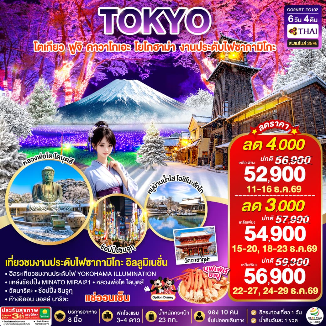 ทัวร์โตเกียว TOKYO FUJI YOKOHAMA ILLUMINATION WINTER (TG) 6วัน 4คืน