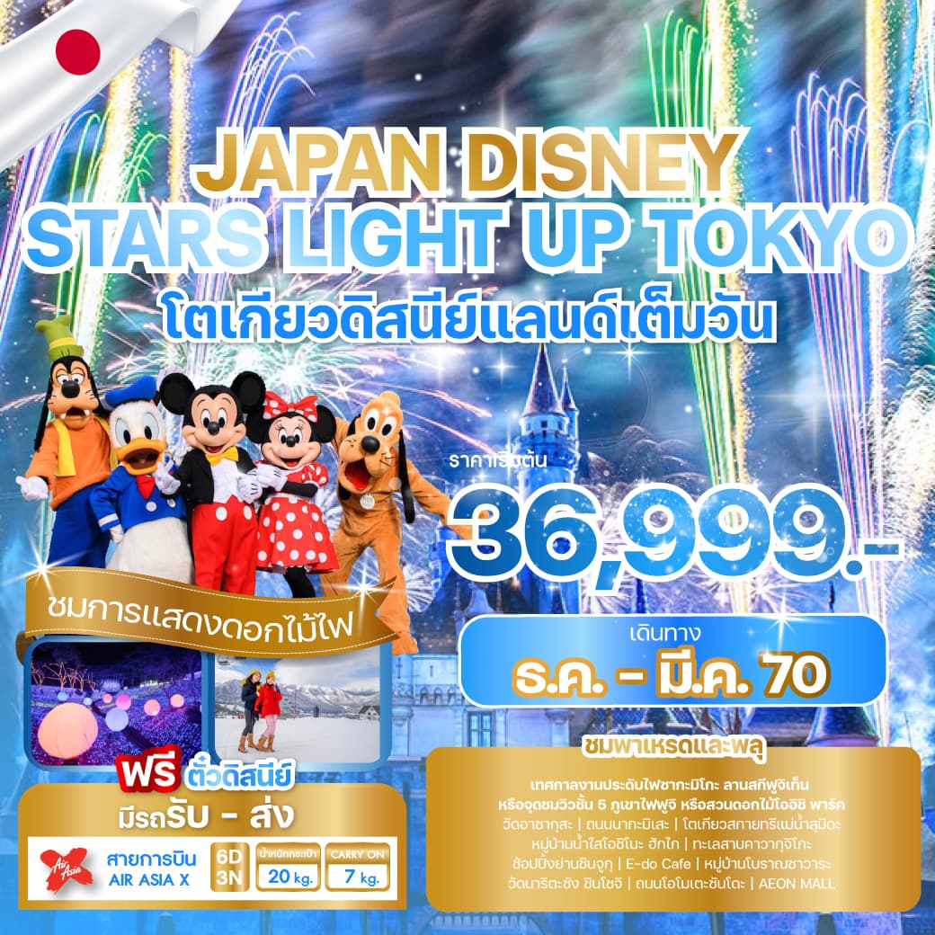 ทัวร์โตเกียว JAPAN DISNEY STARS LIGHT UP TOKYO (XJ) 6วัน 3คืน