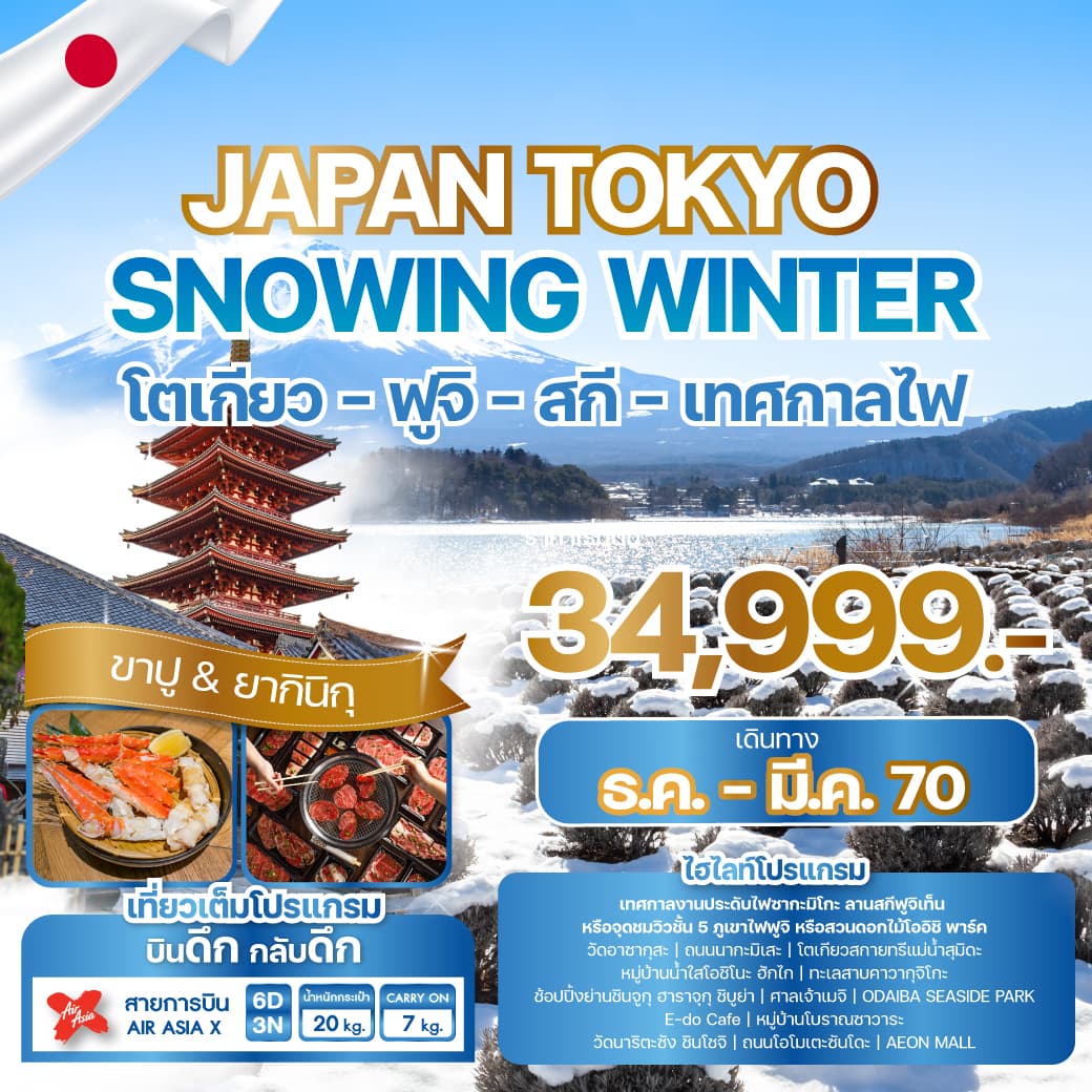 ทัวร์โตเกียว JAPAN TOKYO SNOWING WINTER (XJ) 6วัน 3คืน