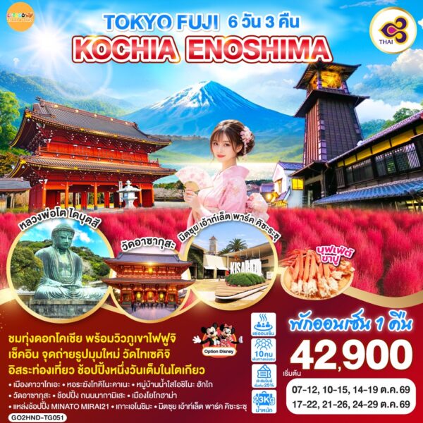 ทัวร์โตเกียว