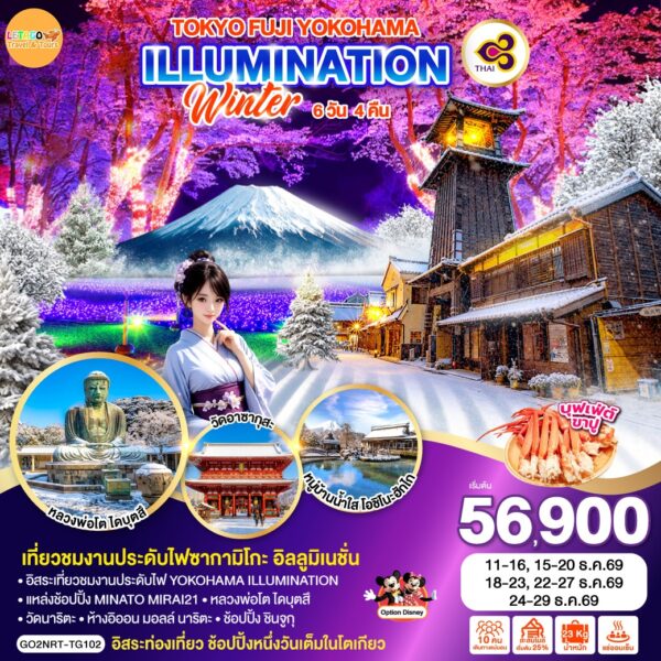 ทัวร์โตเกียว