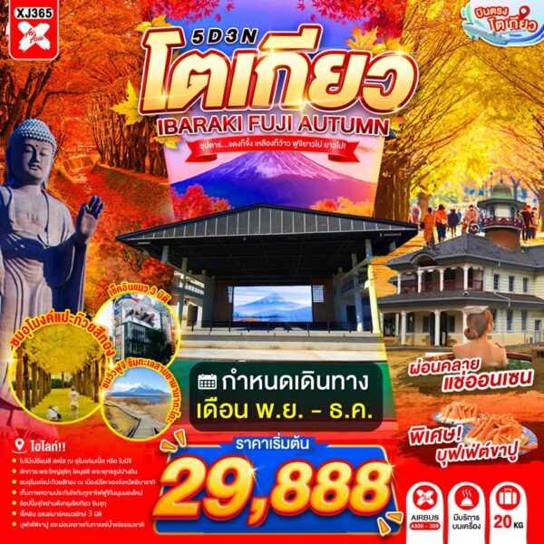 ทัวร์โตเกียว