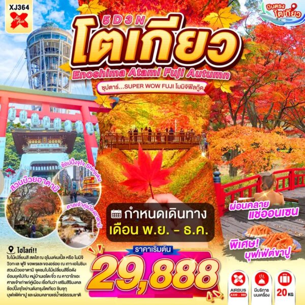 ทัวร์โตเกียว